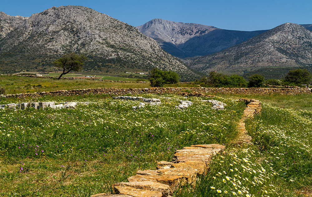 Blumenwiese, Steinmauer, Olivenbäume, Gebirge - Flower meadow, stone wall, olive trees mountains